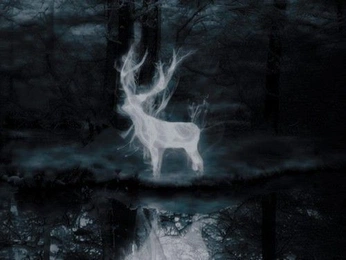 A cover of "harry potter" cluster. The owner is damlajlp. The cluster consists of 7 elements.