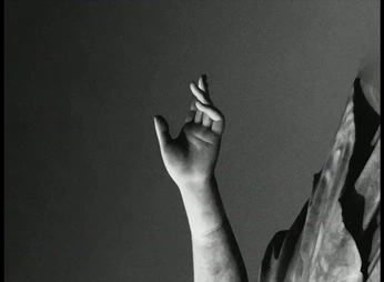 A cover of "N MOTION" cluster. The owner is queraltciurana. The cluster consists of 13 elements.