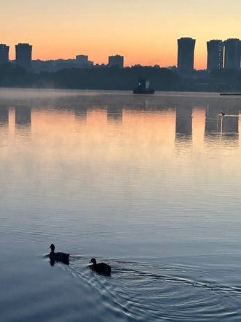 A cover of "mine" cluster. The owner is valeriekirilina. The cluster consists of 8 elements.