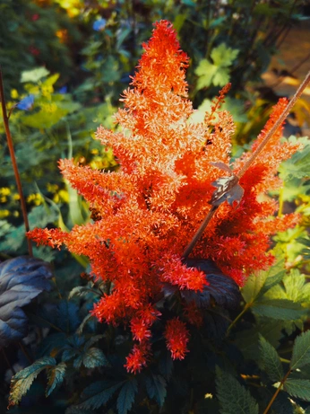 A cover of "🌱" cluster. The owner is catbeats. The cluster consists of 2 elements.