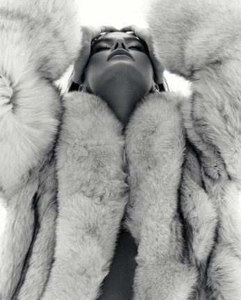 A cover of "Stylisme infographie" cluster. The owner is fleuregg. The cluster consists of 37 elements.