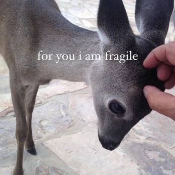 A cover of "a dialogue on love" cluster. The owner is liyv. The cluster description is "love opens the door". The cluster consists of 18 elements.