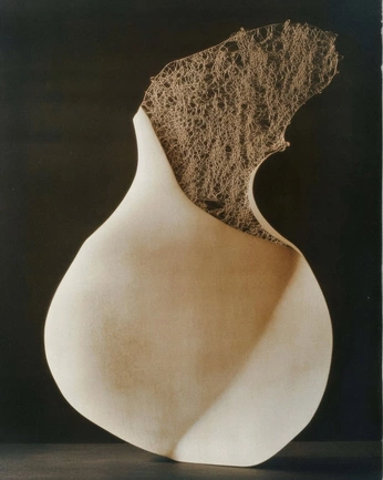 A cover of "DP" cluster. The owner is geraldinebis. The cluster consists of 53 elements.