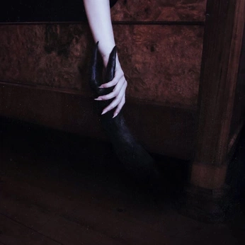 A cover of "VIII" cluster. The owner is ryanrene. The cluster consists of 14 elements.