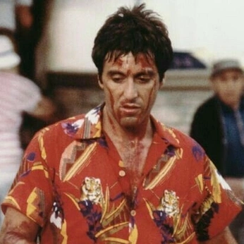 A cover of "Follow Obsession 🏴" cluster. The owner is pravinsingh. The cluster description is "Obsessions is beautiful by zach.blog". The cluster consists of 255 elements.