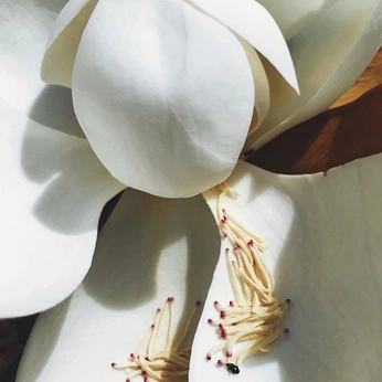 A cover of "2323" cluster. The owner is olium. The cluster consists of 288 elements.