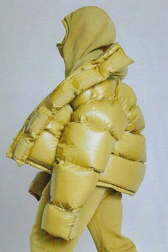 A cover of "JACKET INSIDE" cluster. The owner is amyzeilon. The cluster consists of 6 elements.