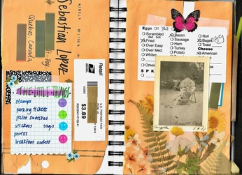 A cover of "streaming" cluster. The owner is marylossada. The cluster consists of 8 elements.