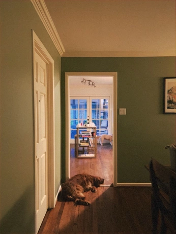 A cover of "My room" cluster. The owner is lunarzir. The cluster consists of 4 elements.