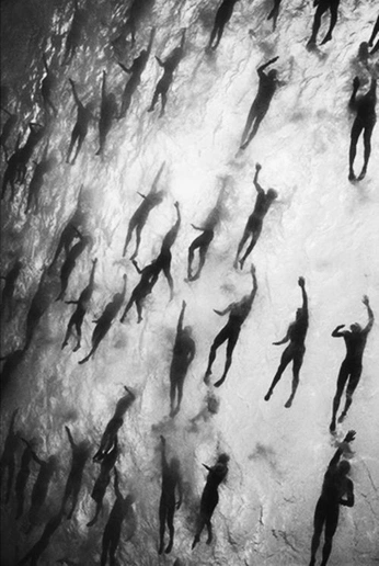 A cover of "sbloccare le emozioni" cluster. The owner is ettaroi. The cluster consists of 36 elements.