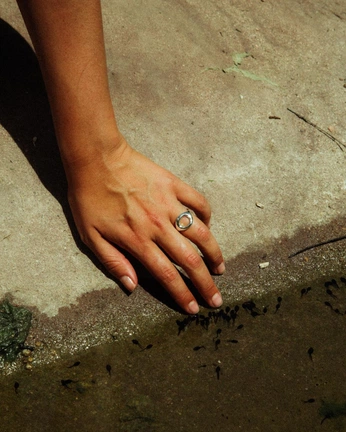 A cover of "nuninho" cluster. The owner is dnlamju. The cluster consists of 2 elements.