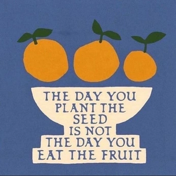 A cover of "portfolio website" cluster. The owner is mnrcv. The cluster consists of 17 elements.