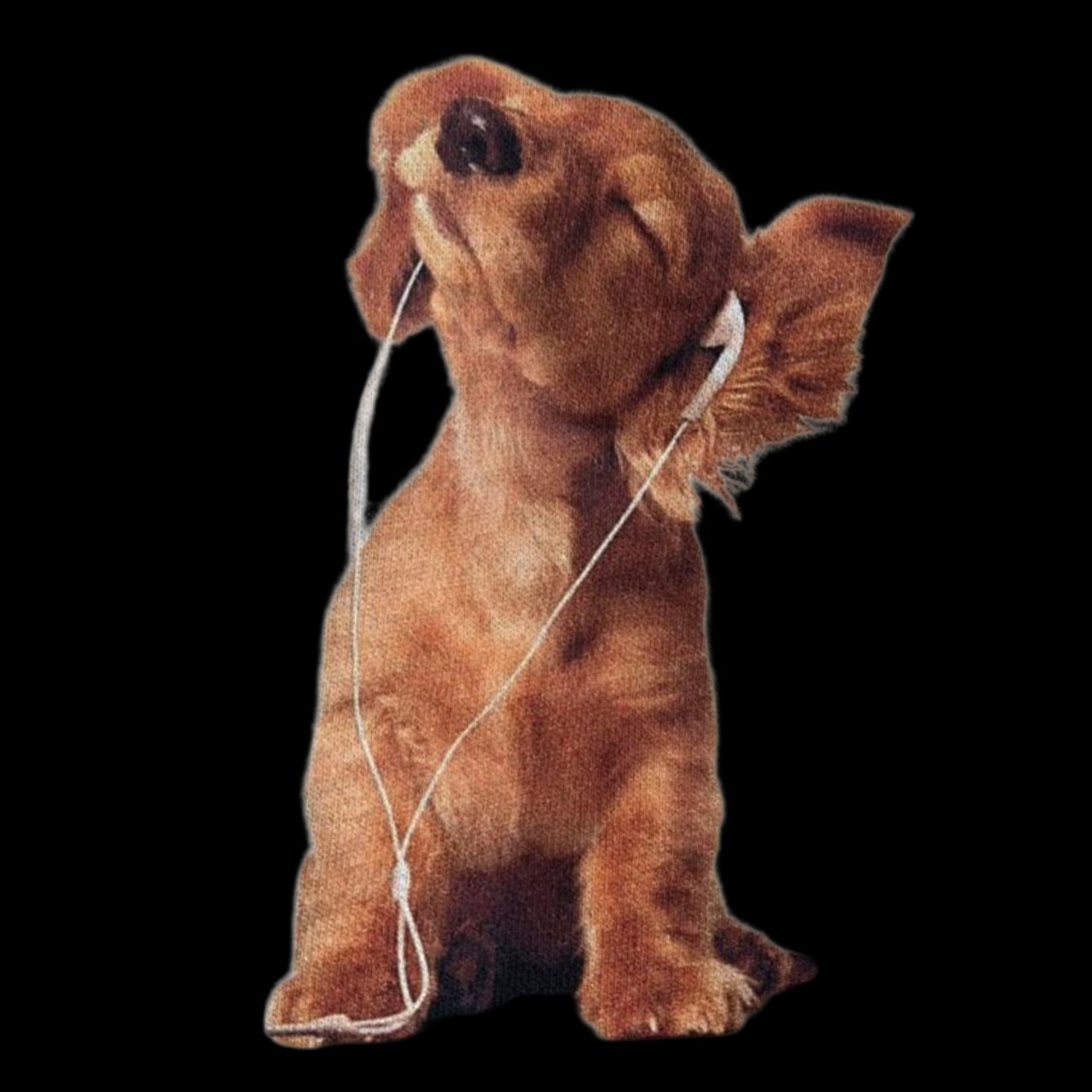 An image added by heelerz on Aug 08, 2025. May present: otter.