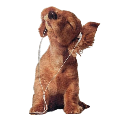 An image added by heelerz on Aug 08, 2025. May present: otter.