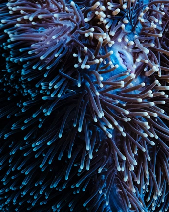 A cover of "texture" cluster. The owner is meyerhjs. The cluster consists of 2 elements.