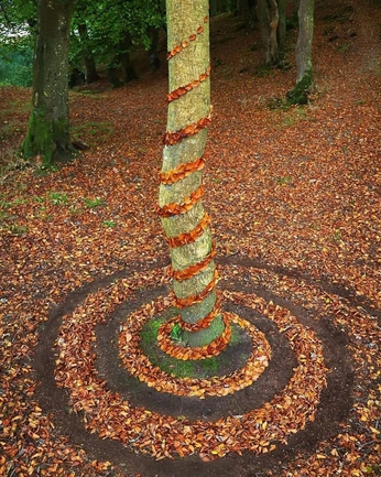 A cover of "foraged and formed" cluster. The owner is kels.koho. The cluster consists of 7 elements.