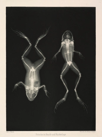 A cover of "Interface" cluster. The owner is vonguten. The cluster consists of 17 elements.