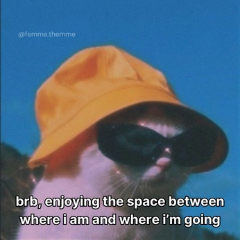 A cover of "Spaces" cluster. The owner is ayoooooo. The cluster description is "This is my no 1 space". The cluster consists of 5 elements.