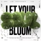 Cover of Bloooom cluster