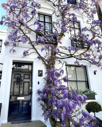 A cover of "UK" cluster. The owner is mgs. The cluster consists of 75 elements.