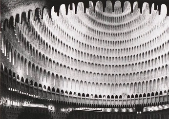 A cover of "ZONE" cluster. The owner is r0001. The cluster consists of 24 elements.
