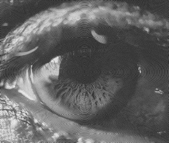 A cover of "Oculi fenestram animae" cluster. The owner is katenic11. The cluster consists of 18 elements.