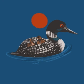 A cover of "Bird illustrations" cluster. The owner is hansm. The cluster consists of 1 element.