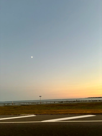 A cover of "south jersey" cluster. The owner is amandaecreates. The cluster consists of 16 elements.