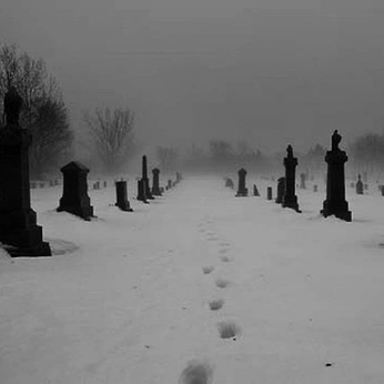 A cover of "🩸" cluster. The owner is akrllic. The cluster consists of 24 elements.