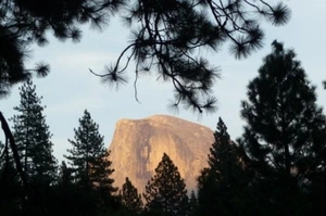 zachary d.v. clark avatar