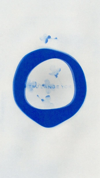 A cover of "elaborazione dell'immagi" cluster. The owner is annabosetti. The cluster consists of 5 elements.