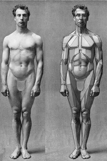 A cover of "Study" cluster. The owner is granovanity. The cluster consists of 20 elements.