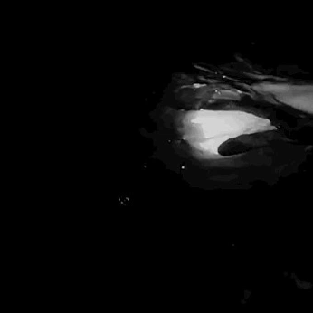 A cover of "9" cluster. The owner is lensflares. The cluster consists of 36 elements.