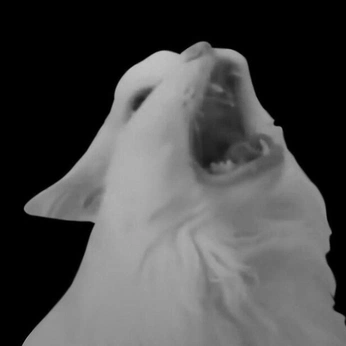 A cover of "Vibes" cluster. The owner is dantoruno. The cluster description is "Memes & Moods". The cluster consists of 184 elements.