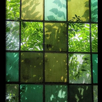 A cover of "w i n d o w" cluster. The owner is alxs.nv. The cluster consists of 16 elements.