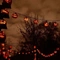 Cover of halloween cluster