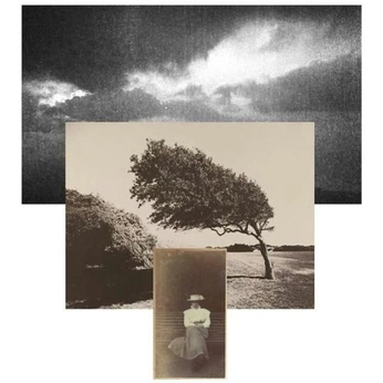 A cover of "refinery" cluster. The owner is reemr. The cluster consists of 24 elements.