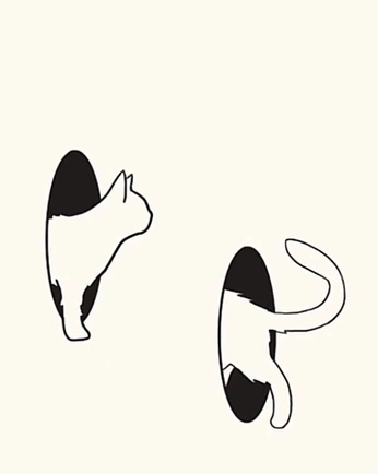 A cover of "Ilustraciones" cluster. The owner is isabelduarte. The cluster consists of 7 elements.