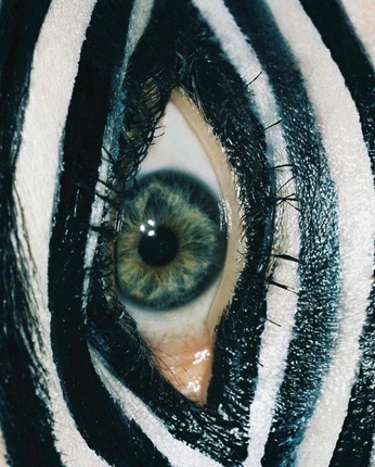 A cover of "Ins" cluster. The owner is timea. The cluster consists of 34 elements.