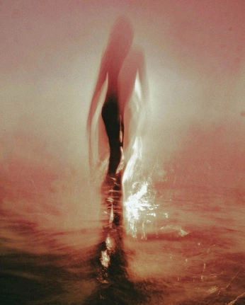 A cover of "沖縄の夢 「okinawa dream」" cluster. The owner is cmaera. The cluster description is "555". The cluster consists of 117 elements.