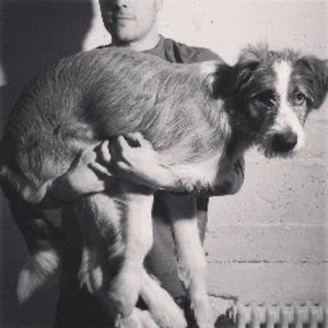 Javier Corrales avatar