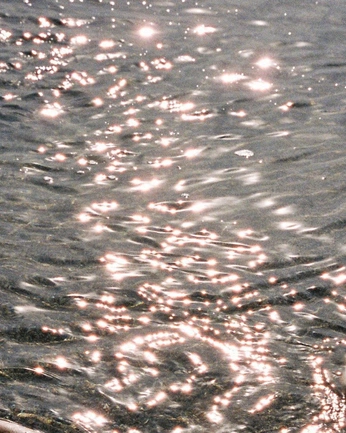 A cover of "The Guest" cluster. The owner is winstonelliott. The cluster consists of 22 elements.