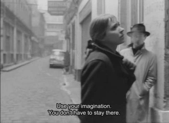 A cover of "moodboard: novelty" cluster. The owner is maya.cc. The cluster consists of 8 elements.