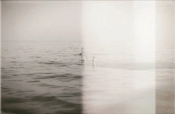 A cover of "P&b" cluster. The owner is camilarivereto. The cluster consists of 12 elements.