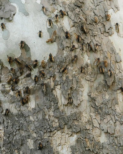 An Instagram carousel post added by aethereal.itf on Jun 05, 2024. The author is @atmos.