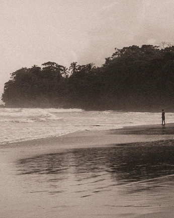 A cover of "Seaside" cluster. The owner is shirohero. The cluster consists of 2 elements.