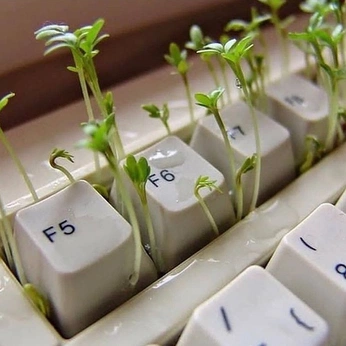 A cover of "technology 💻" cluster. The owner is ryhkk. The cluster consists of 47 elements.