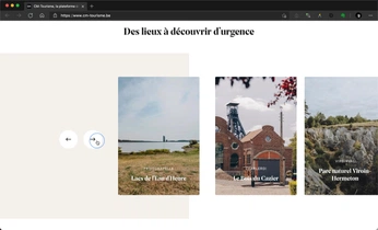 A cover of "Web" cluster. The owner is klickreflex. The cluster consists of 239 elements.