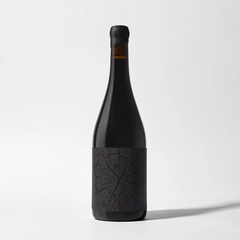 A cover of "traun secco" cluster. The owner is sopharl. The cluster consists of 13 elements.