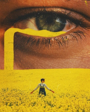 A cover of "Collages" cluster. The owner is seameliora. The cluster consists of 3 elements.